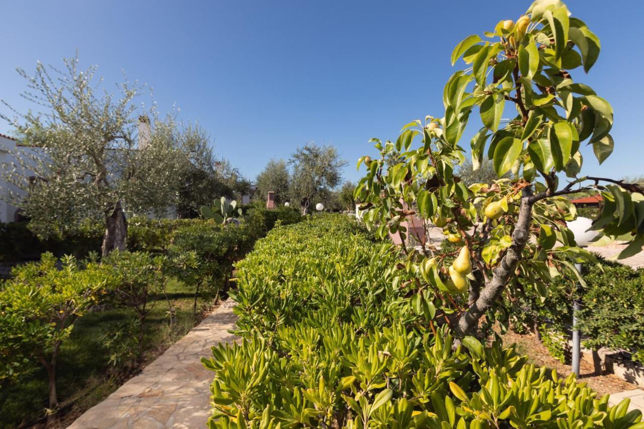 Residence Villantica เวียสเต ภายนอก รูปภาพ
